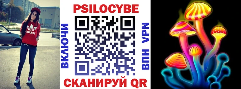 Псилоцибиновые грибы мицелий Сольвычегодск