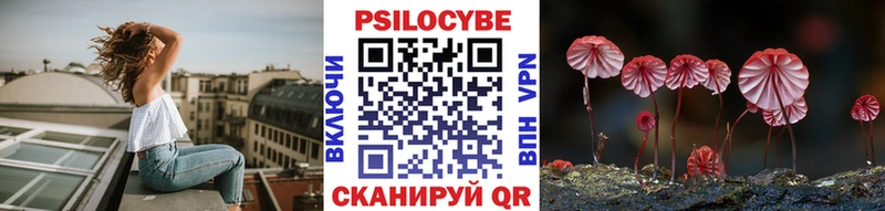Псилоцибиновые грибы Cubensis  Сольвычегодск 