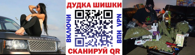 наркота  Сольвычегодск  Конопля ГИДРОПОН 